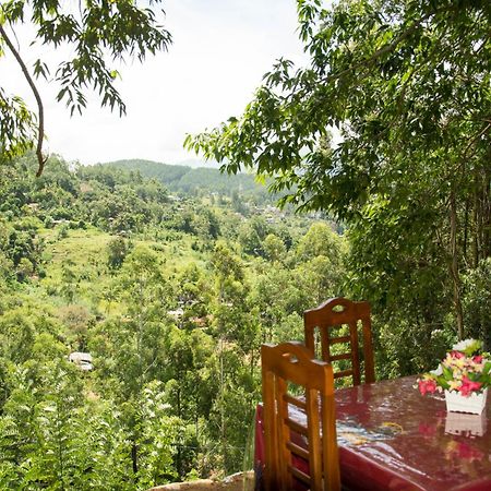 Rose Dale Homestay Ella Extérieur photo