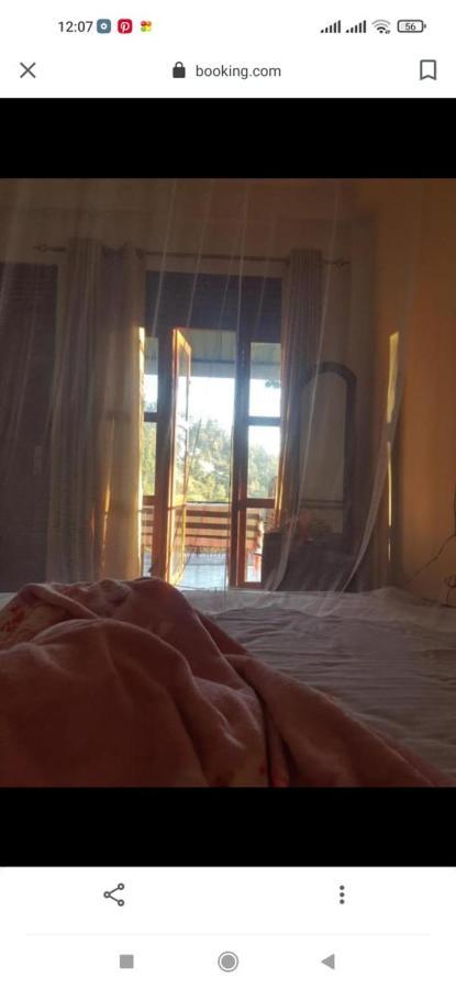 Rose Dale Homestay Ella Extérieur photo