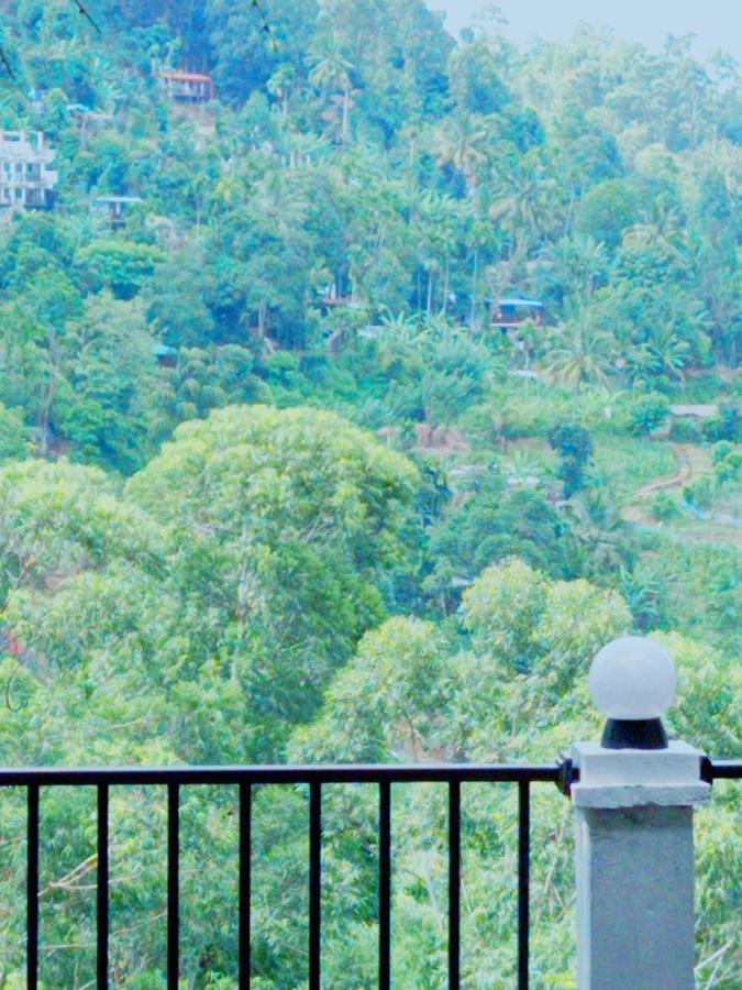 Rose Dale Homestay Ella Extérieur photo