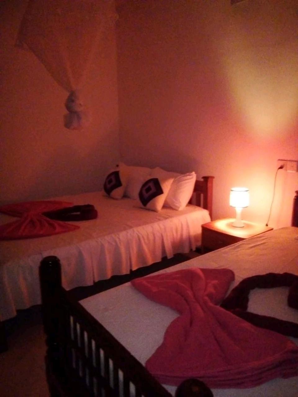 Rose Dale Homestay Ella Extérieur photo