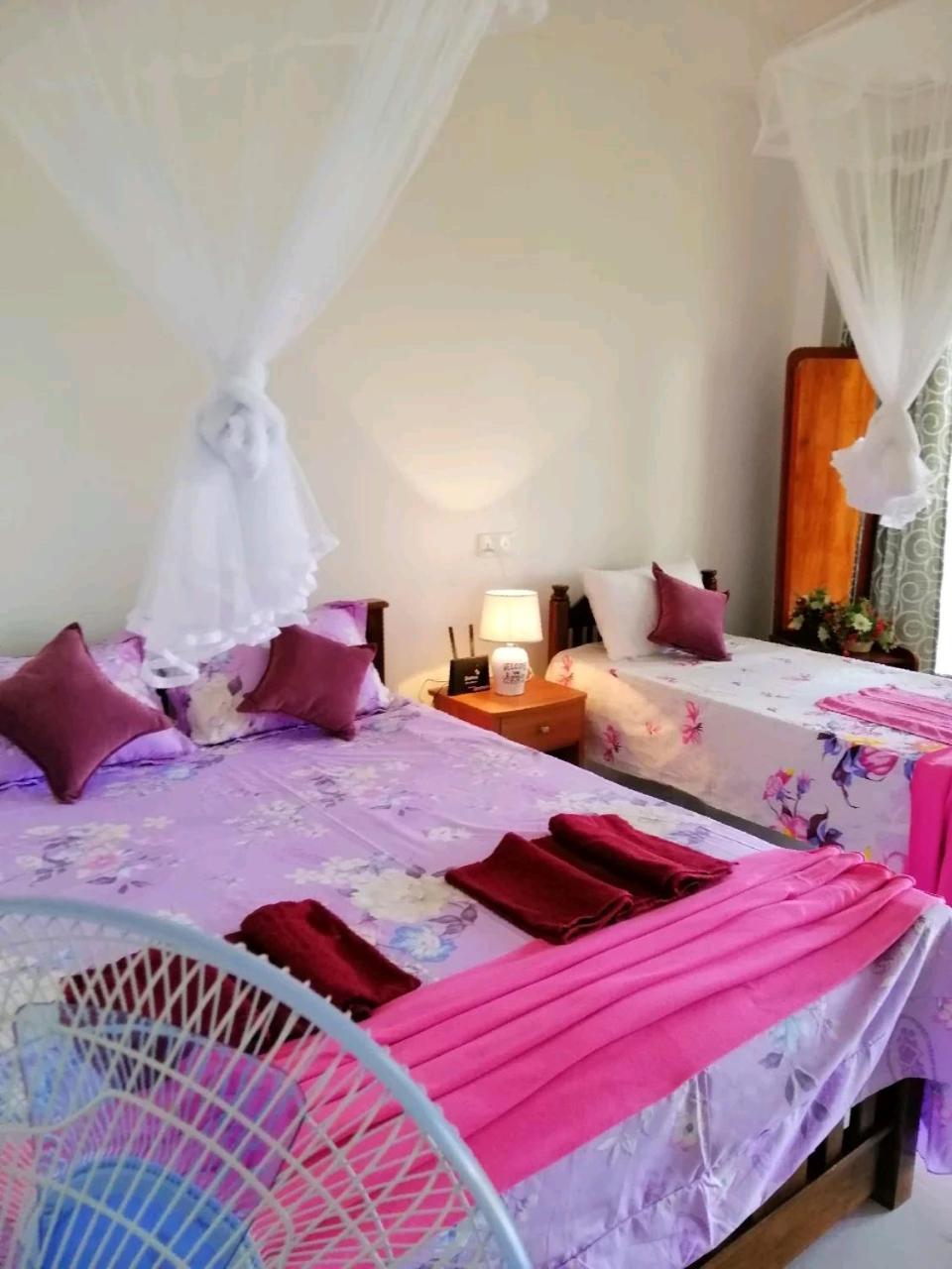 Rose Dale Homestay Ella Extérieur photo