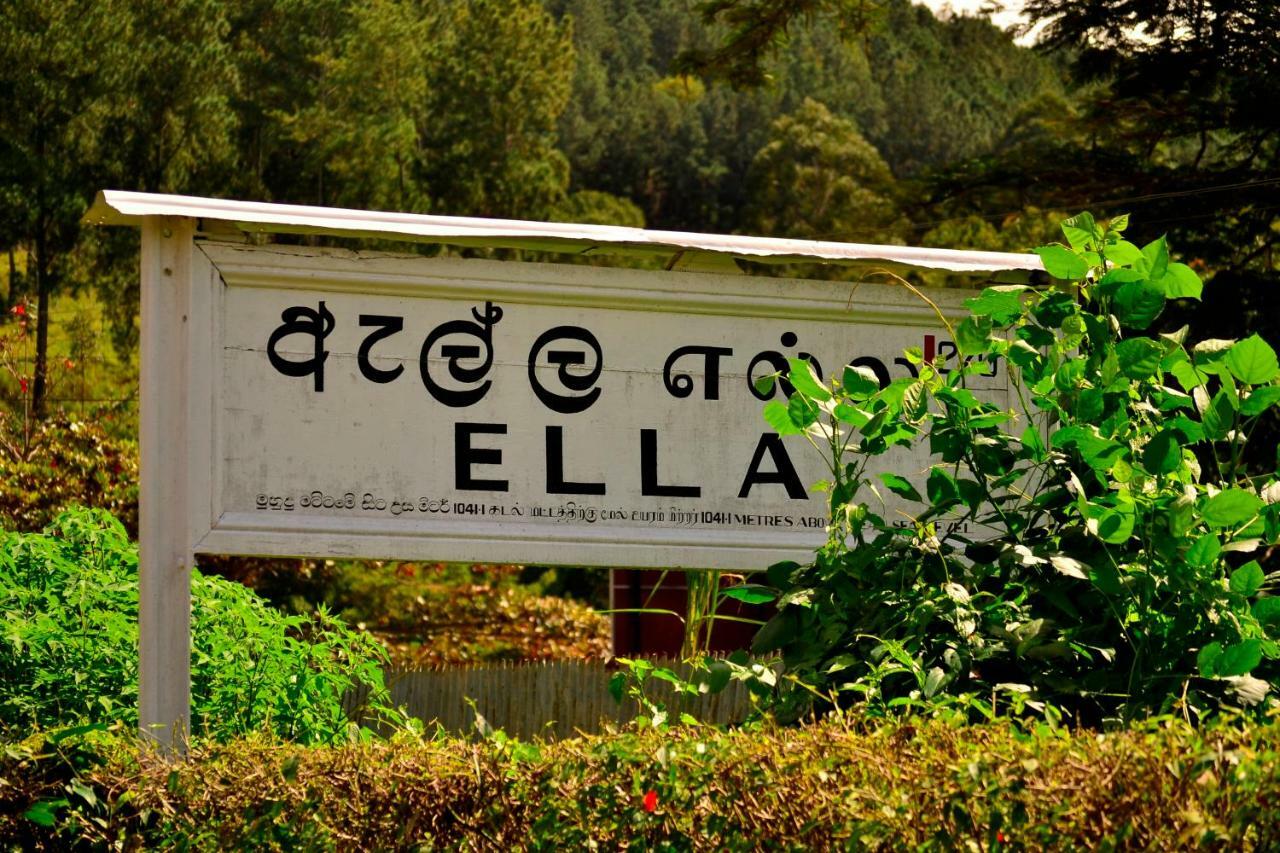 Rose Dale Homestay Ella Extérieur photo